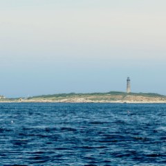 a large body of water