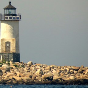 a large clock tower towering over a body of water